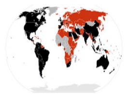 فرایند تشخیص بیماری تب مالت